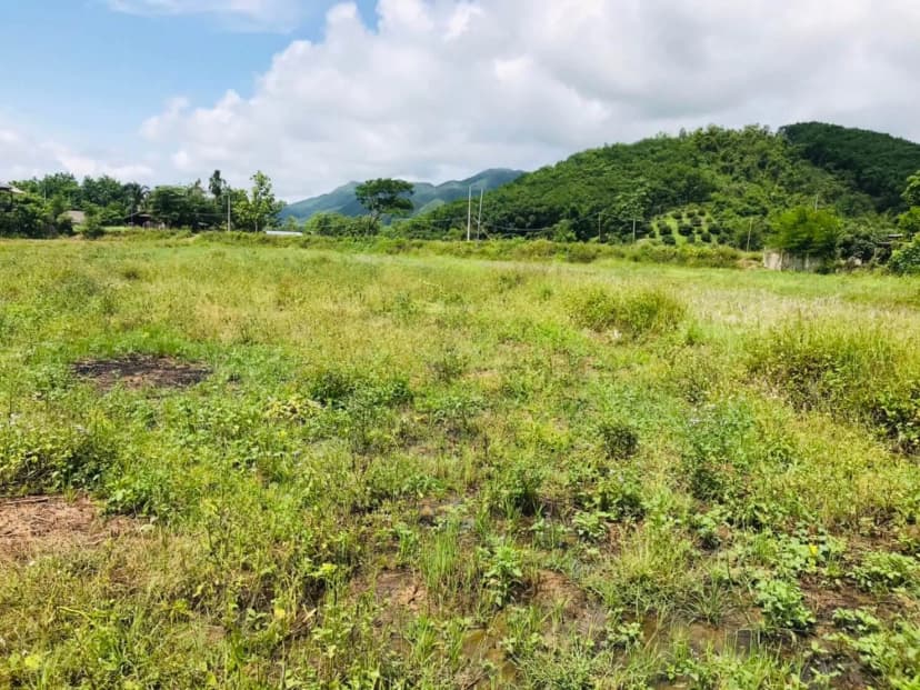 รวมภาพถ่ายตั้งแต่เริ่มโครงการ