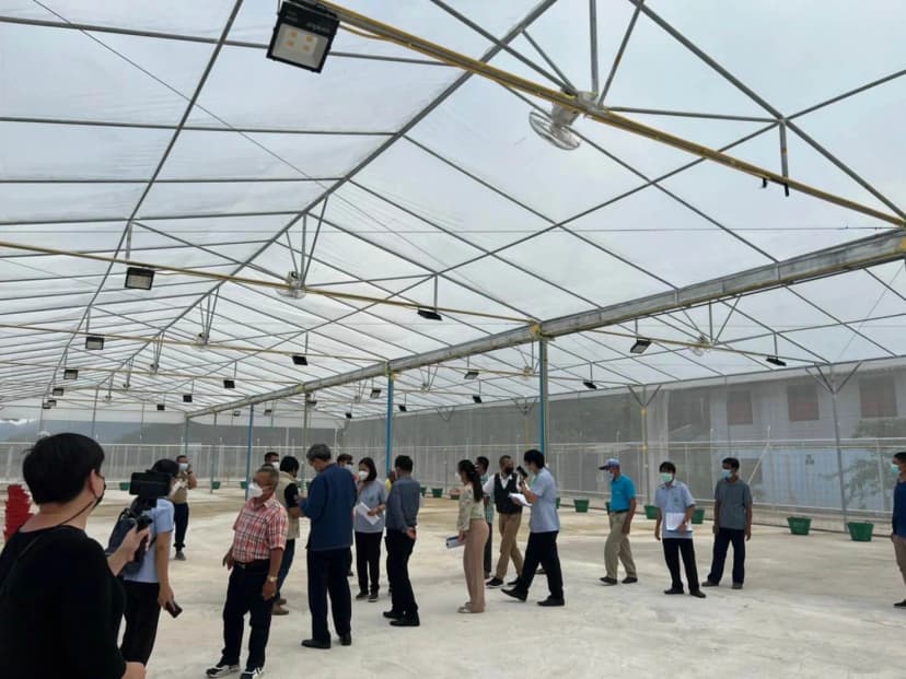 ภาพผู้ว่าฯ-ภาครัฐตรวจสวน