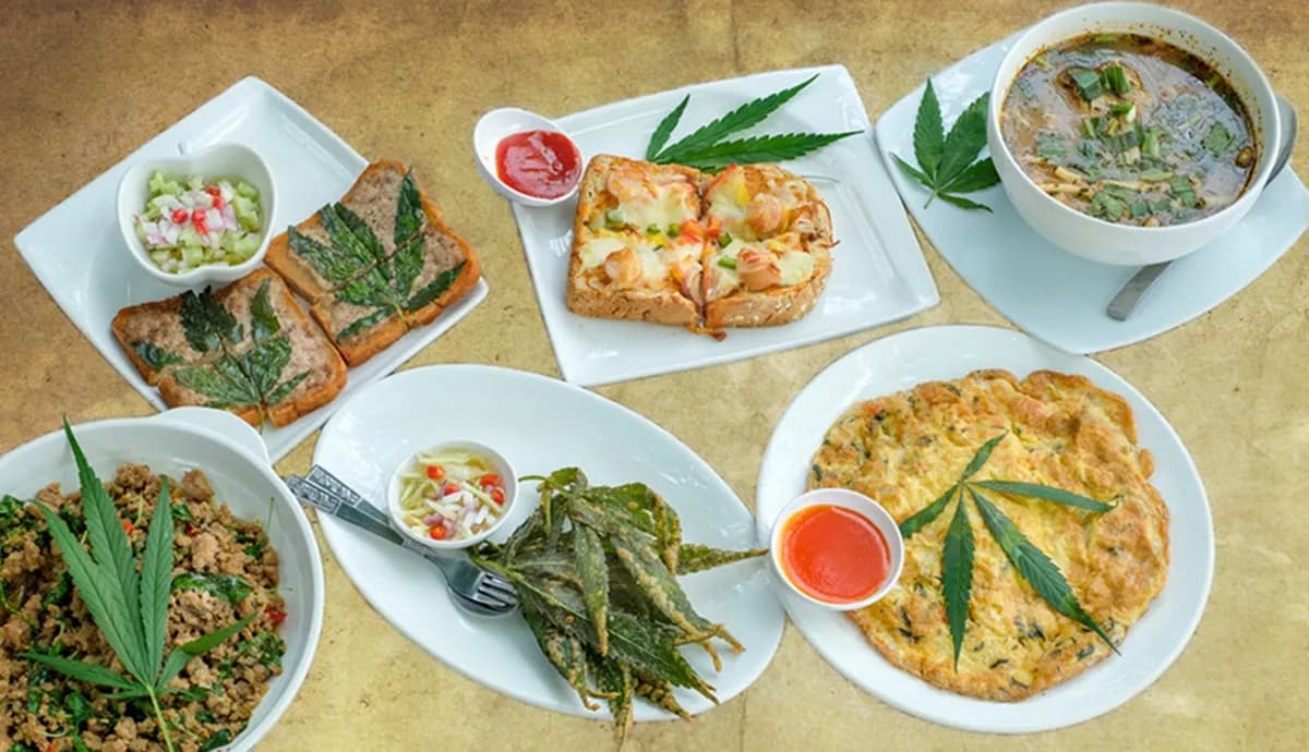 แนะนำสูตรเมนูอาหารใส่กัญชาแบบไทย ๆ แปลกใหม่จนต้องลอง